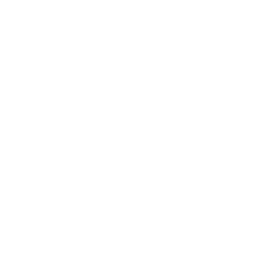 Lunar Rebellion